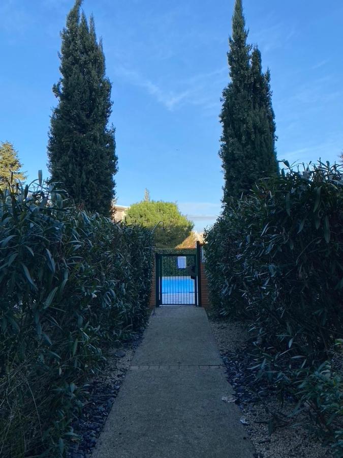 City Rose T2 ensoleillé-piscine-parking privé -fibre -balcon Toulouse Extérieur photo